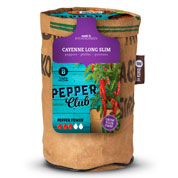 Kit de Cultura - Pimento - Cayenne Long Slim Red